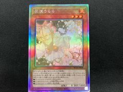 遊戯王 灰流うらら ホログラムエラー - メルカリ