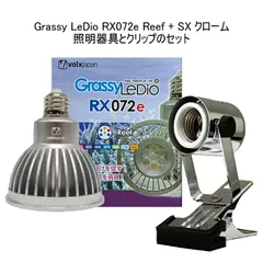 2026年最新】ボルクスジャパンの人気アイテム - メルカリ