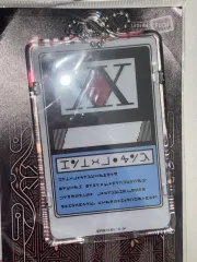 HUNTER×HUNTER ライセンス 交通カード キーホルダー