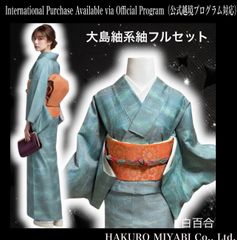 未使用近い 美品 袷 正絹 大島紬系 小紋 フルセット - メルカリ