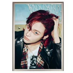 ウォンビン RIIZE ライズ フォトプレート 額入り 写真 A4サイズ 韓流 グッズ hp079-2-4