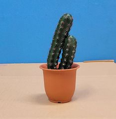 造花・観葉】フェニックスパームツリー 130cm JOA-227 造花・観葉