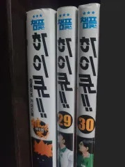 ハイキュー 漫画 29 30 巻 ガイドBOOK バレーボール