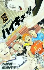 ハイキュー!!ショーセツバン!! 13／星希代子