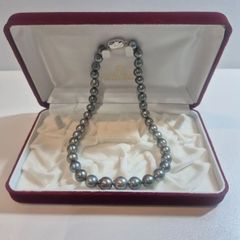 大粒　あこや真珠　約40cm