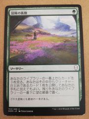 ゴルガリの魔鍵 ラヴニカへの回帰 日本語 - メルカリ