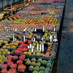suzuki_blue様専用