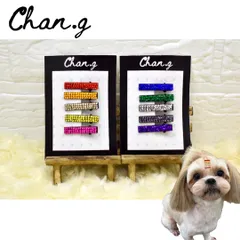 キラキラクリップ5個セット(ヘアクリップ)　／　犬　犬用ヘアピン　ヘアピン　コームピン　ヘアアクセサリー　ヘアクリップ　トリミング　ドッグピン　トップノット　ベビー　キッズ　Chan.g. チャンジー