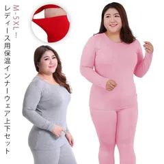 大きいサイズ あったかインナー レディース ヒートテック 上下セット 裏起毛  インナーウェア 長袖 シャツ ロングタイツ 微起毛 防寒 暖かい インナー 秋 冬 あったか 肌着 保温 発熱 下着 冷#shenf3645