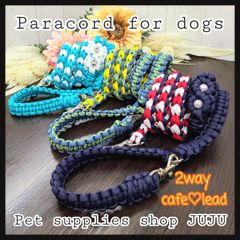 Item thumbnail for item a67dd020-c93f-46aa-804d-e037271a06dd