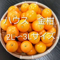 ハウス金柑　(3L·2L混合)　宮崎県産　900g(宅急便コンパクト発送)