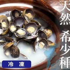 ZEXUS/ゼクサス】ヘッドライト ZX-165 201652 ワイド照射 LEDライト