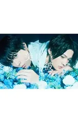 DVD／美しい彼 DVD-BOX