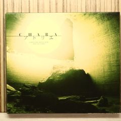 the GazettE シングル「hyena」 フレーム付きポスター ガゼット the GazettE シングル「hyena」 フレーム付きポスター ガゼット 【公式