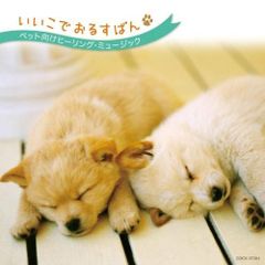 新品/未再生 おとぼけビ〜バ〜 おこしやす!! LP - メルカリ