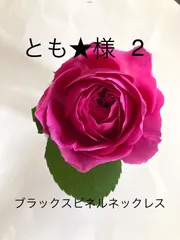 とも★様　2  天然石ネックレス