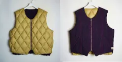 正規 STUSSY ステューシー PYTHON REVERSIBLE VEST WORK GEAR ダウン ベスト リバーシブル ヘビ柄 パイソン 115669 ベージュ 222P♪