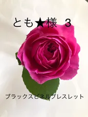 とも★様　3  天然石ブレスレット