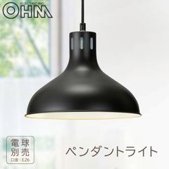 専用出品】深澤直人無印良品 ペンダントライト半球M 黒 modify好きな
