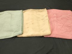 Item thumbnail for item 40fae225-204c-484b-8304-2f4747a96558