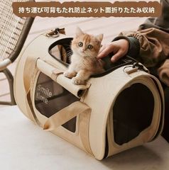 Item thumbnail for item 0672cac3-791e-4d3e-ac5d-6c667c38b47e