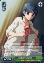 2026年最新】ヴァイスsrの人気アイテム - メルカリ