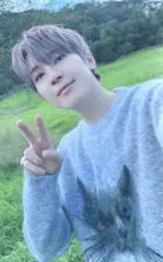 SEVENTEEN WeverseJAPAN会場限定 WONWOO 消費期限 東京