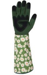 Item thumbnail for item e989bf0d-e023-4906-bf60-3660179178a8