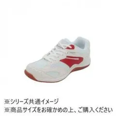 【新品・5営業日で発送】アスティコ AD 体育館シューズ レッド 26.0cm (2206152)