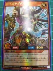 霜浄馬ヤブメ　ウルトラレア