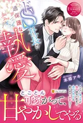 ドS社長の過保護な執愛 (エタニティブックス)／本郷アキ
