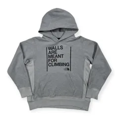 THE NORTH FACE ノースフェイス プリント フーディ スウェット パーカー サイズ M /グレー/ゴールドウイン/レディース