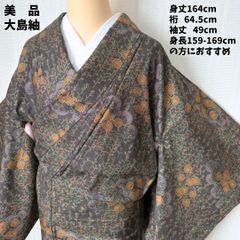 ☆本場大島紬☆ワイドサイズ 裄68 身幅広め 美品 ふくよかサイズ