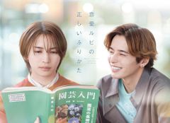 クピドの悪戯 虹玉 DVD-BOX(中古品) - メルカリ