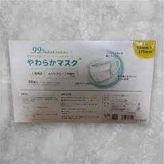 不織布マスク／10枚×5／計50枚/個包装(10枚ずつ)