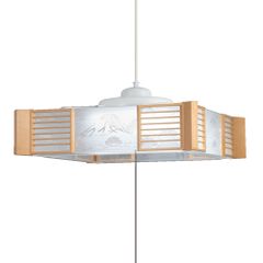 HotaluX LED洋風ペンダントライト HCDA0658-X 3点 - メルカリ