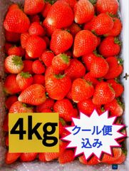 訳アリ4kg】栃木県産とちあいか（家庭用）大容量お得パック - メルカリ