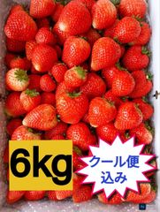 大量約6kg！とちあいか！規格外のため格安！甘くて酸味が少ない品種です！ 大量約6kg！とちあいか！規格外のため格安！甘くて酸味が少ない品種