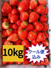 特別栽培農園直送特殊冷凍あまおう10kg - メルカリ