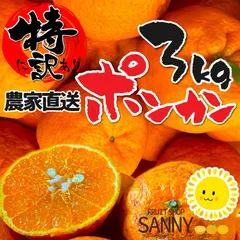 2026年最新】ぽんかんの人気アイテム - メルカリ