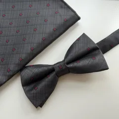 ①-3 蝶ネクタイ　ポケットチーフ2点セット