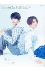 TVドラマ&劇場版「美しい彼」公式ビジュアルブック／徳間書店