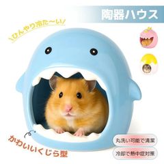 Item thumbnail for item cf0a5b53-6e27-426e-a611-9e83c91133d2