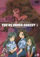 2026年最新】逮捕しちゃうぞ dvdの人気アイテム - メルカリ