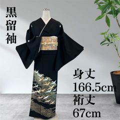 Item thumbnail for item 8707eb9d-2518-43f7-9ee2-e427ddc0c04e