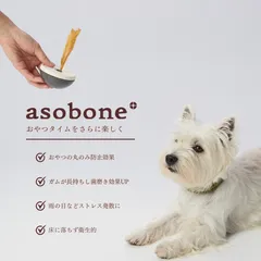 asobone【公式】アソボーン　ハードCAPセット　6カラーから選択できます