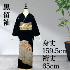 新品正絹黒留袖 駒刺繍 金銀彩 ⭐︎⑧( 訪問着、紬、袋帯なども出品