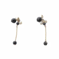 agete 2012 限定品 チャーム　ピアスチャーム　ブラック　オニキス agete 2012 限定品 チャームピアスチャームブラックオニキス