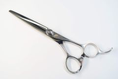 Item thumbnail for item 6f7889a6-fd3e-40ed-a866-97d606919f06