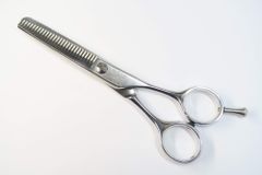 Item thumbnail for item 03071e4f-eea1-4c50-bf53-2d3aa76b75ef